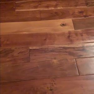 Meet your Posher, Zoe